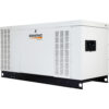 Generac Protector Series Home Standby Generator — 60kW, LP/NG, 120/240 Volts, Single Phase, Model# RG06045ANAX