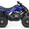2024 Yamaha Raptor 110 for Sale