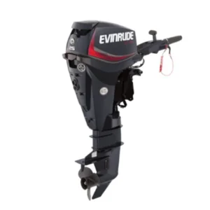 Evinrude E25DGTE E TEC Outboard Motor