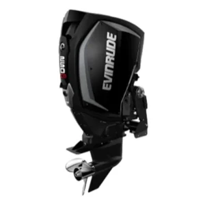 Evinrude H250HGLO 250 HO Outboard Motor